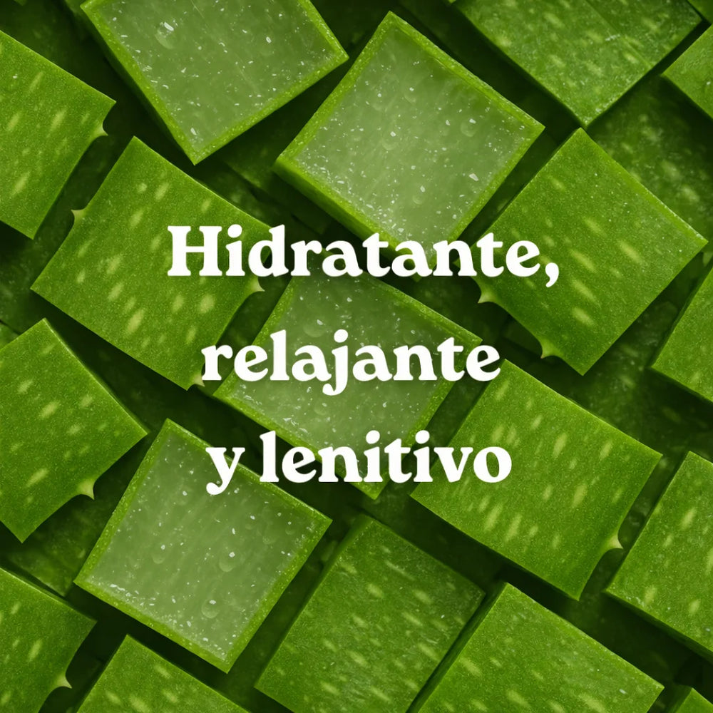 Recarga Gel de Ducha Aloe Vera (x4)