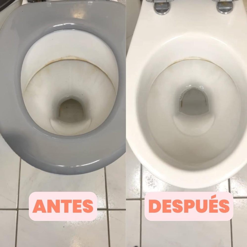 Detergente WC 3 en 1 (x15)