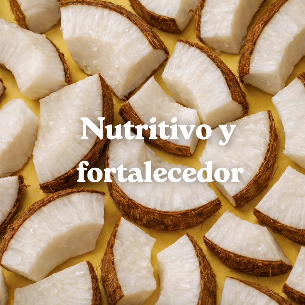 Recarga Champú Nutritivo Coco (x4)