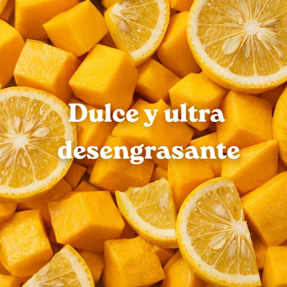 Recarga Lavavajillas Mango y Yuzu (x1)