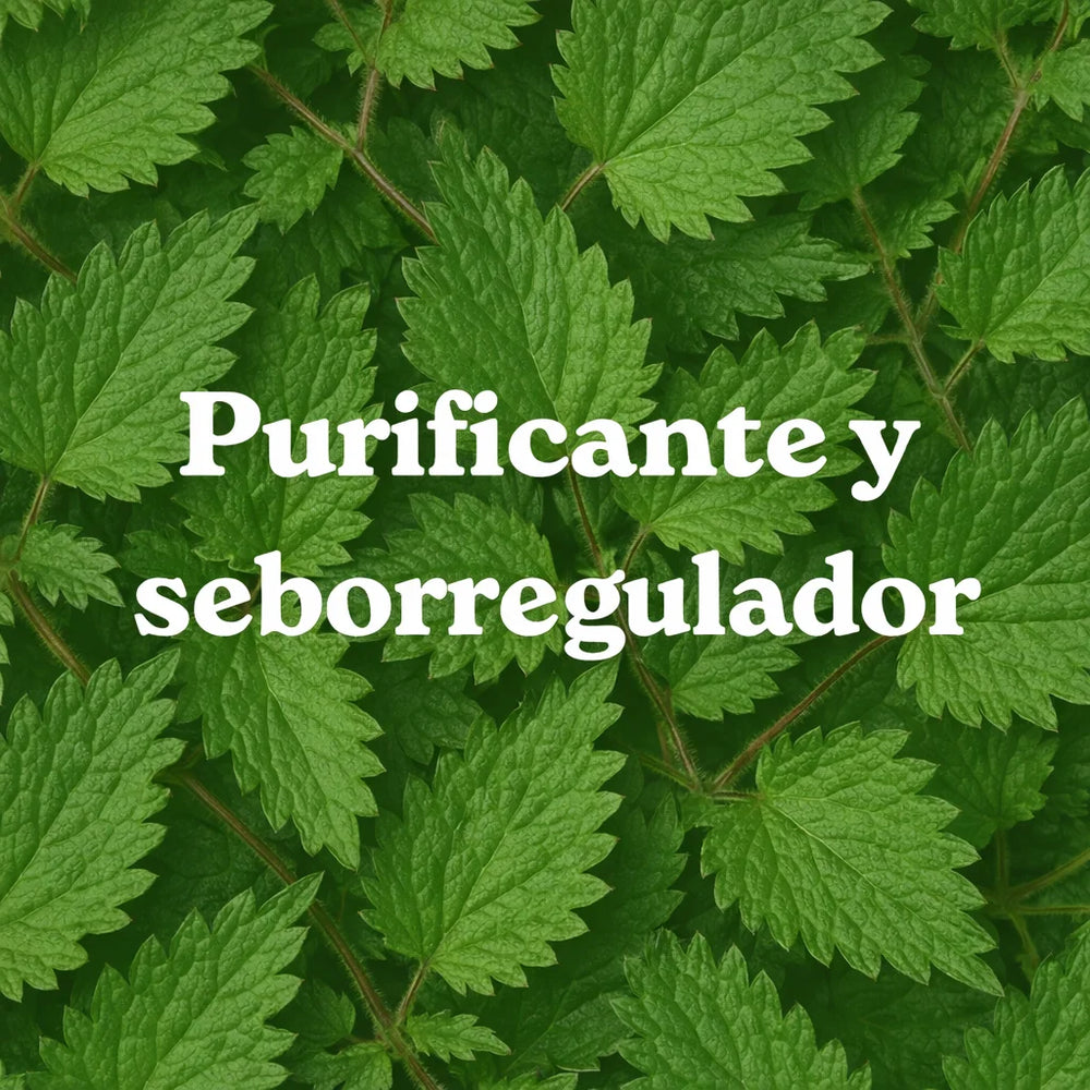 Recarga Champú Purificante Ortiga (x1)